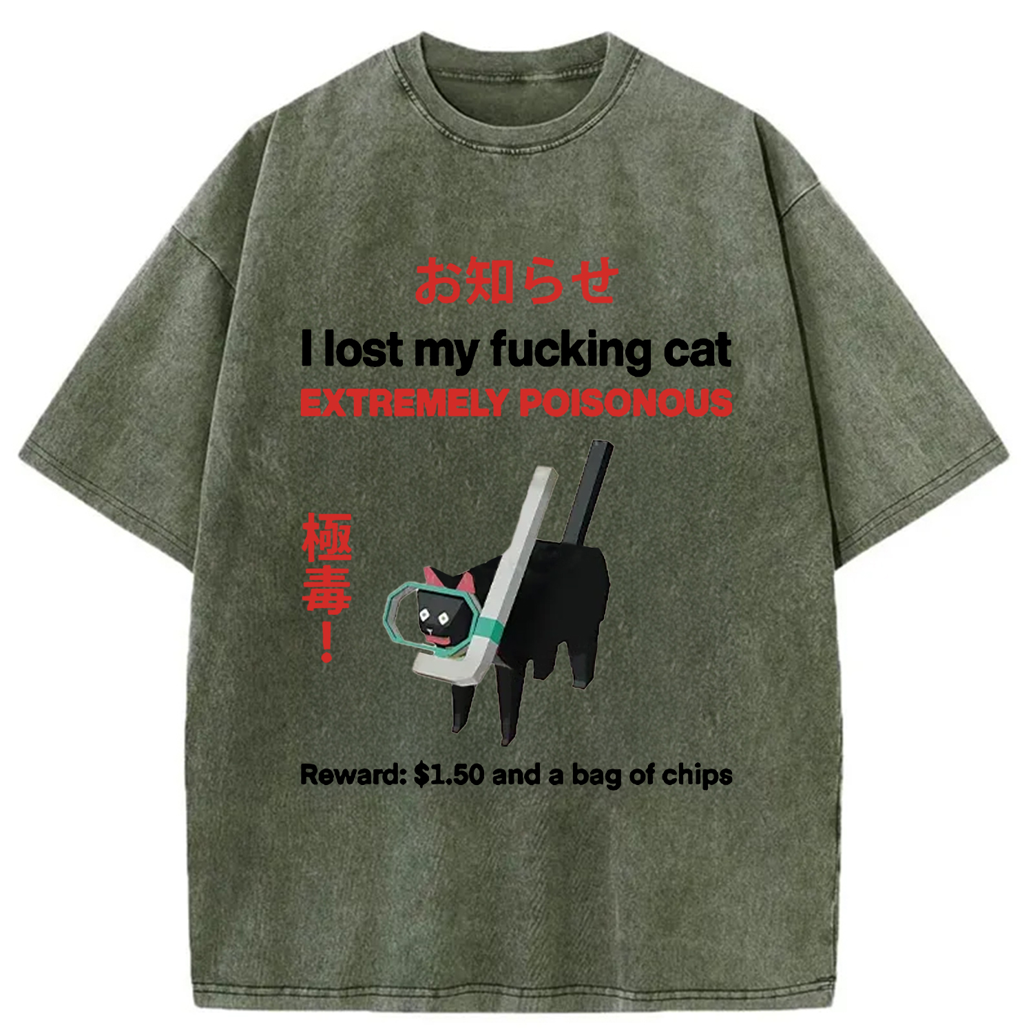 Tokyocanvas Find The Toxic Cat Funny Washed T-Shirt
